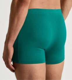 Calida Boxer Vert Homme Balanced Day Pond Green -Lingerie Sipp Boutique boxer h 595 pond green 5