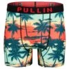 PULLIN Boxer Homme Imprimé Fashion 2 Bayarbor