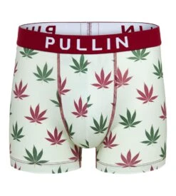 PULLIN Boxer Homme Imprimé Master Kanab