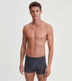 Calida Boxer Rayé En Coton Pour Homme Graphic Cotton Glazed Ginger -Lingerie Sipp Boutique boxer homme raye glazed ginger 3