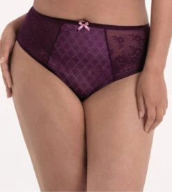 ANITA Culotte Haute Rosemary Purple 3 ANITA Culotte Haute Rosemary Purple -Lingerie Sipp Boutique rosemary culotte haute 121 purple 2