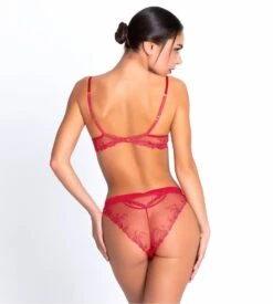 Soutien-gorge à Coques Source Beauté Hibiscus Beauté 3 Soutien-gorge à Coques Source Beauté Hibiscus Beauté -Lingerie Sipp Boutique source beaute sg coque progress light 2496 hibiscus beaute 3