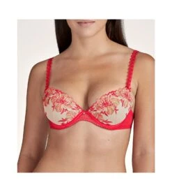 Aubade Soutien-gorge Push-up Plunge Poétique Esquisse Pigment